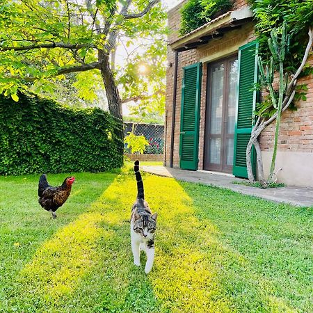 Villa Agriturismo Salcino à Grosseto Extérieur photo